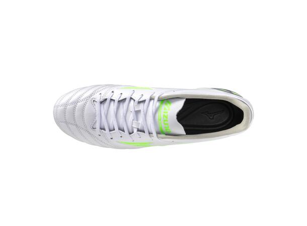 Morelia Neo IV Pro AG 
